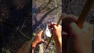 СЕКРЕТНОЕ МЕСТО. КУЧА РЫБЫ #астраханскийклев