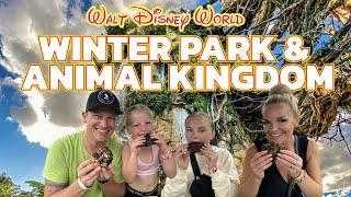 Walt Disney World Vlog | Gideon’s at WinterPark | Wintergarden | 90 mins in Animal Kingdom | Aug 24