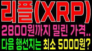 [리플 XRP 코인전망] 2,800원선까지 밀린 가격, 다음 행선지는 최소 5000원 전망이라고!!?