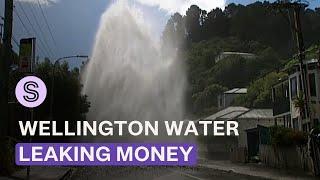 Investigation underway after report finds Wellington Water overpaying contractors | Stuff.co.nz