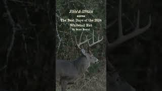 The Best Days of the 2024 Whitetail Rut