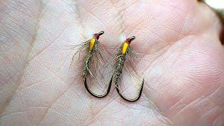 Tying the Hare's Mask Midge Pupa/Buzzer with Davie McPhail