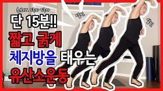 딱! 15분 체지방불태우는 전신유산소 (Fat Burn Cardio for Beginners)