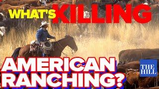 How monopoly and corporatism is killing American ranching