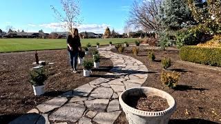 We’re Still Planting! Yews, Shrubs, Grasses & a Crabapple!  // Garden Answer