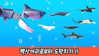 Escape from Shark, Learn Sea Animals Names Baby Shark and Whale Toys For Kids, collectaㅣCoCosToy