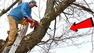 What Happens When You Combine Chainsaw Skills with Powerful Woodworking Machines?