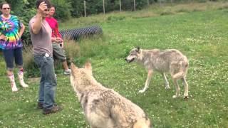 Howling Woods Farm / Jackson , NJ