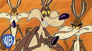 Looney Tunes auf Deutsch | Wile E Coyote das Genie | 30 Minuten | WB Kids