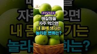 여름철 건강 필수템, 매실청 효능 5가지 | 100세시대