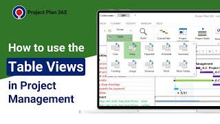 How to use Table Views in Project Management | Project Plan 365