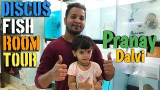 Discus fish room tour | Pranay Dalvi | Hobbyist turned breeder | Discus fish | Discus ninja | Discus