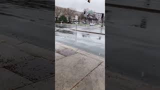 Waiting for bus in the rain