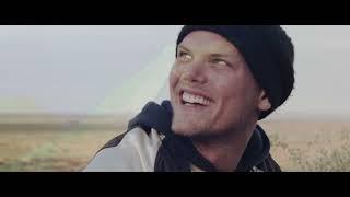 Avicii: 1989 - Forever // Lionheart - Timberman