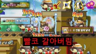 빨코 해적단 해결사