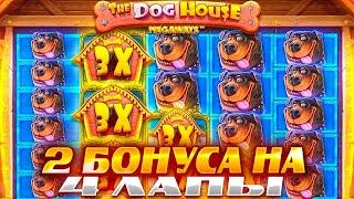 ЗАКРЫЛ СИНИХ СОБАК! ЗАНОС В СЛОТЕ The Dog House Megaways / ЗАНОСЫ НЕДЕЛИ / ЗАНОС В СОБАКАХ