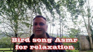 Bird song ASMR for relaxation @AlinDragu