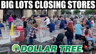 Goodbye Dollar Tree! Tariffs and Inflation Force Retail Closures Nationwide