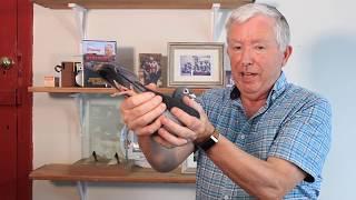 What to consider when buying racing pigeons?