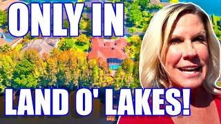 DISCOVER Land O' Lakes Florida 2023! | Living In Land O' Lakes Florida | Moving To Pasco County FL