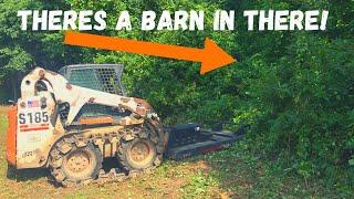 Using a Generic Brush Cutter to uncover an Abandoned Farm! (Will it Hold Up?)