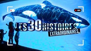 30 NOUVELLES histoires EXTRAORDINAIRES !  À voir absolument ! - PE032010