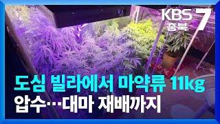 도심 빌라에서 마약류 11kg 압수…대마 재배까지 / KBS  2022.08.31.