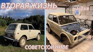 ВОССТАНОВЛЕНИЕ СОВЕТСКОЙ НИВЫ. ЧАСТЬ 1