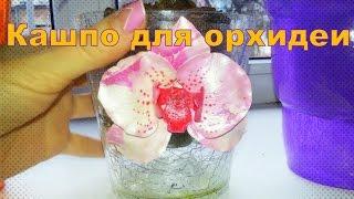 В каких КАШПО "сидят" мои ОРХИДЕИ