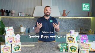 Diets for Senior Pets | Does my senior dog need special food?