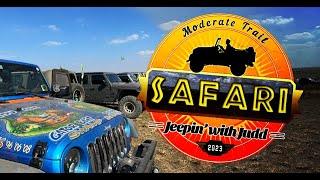 Jeeps and cows at Clear Springs Ranch - The Safari Trail