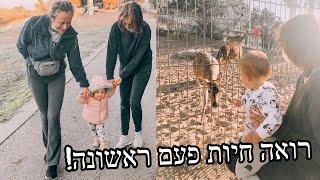 נסענו לאמא של ניקה!! וראינו חיות!!