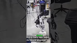 Tesla's Optimus Robot  From Lab to Life! See the Progress!