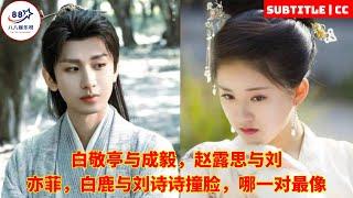 Bai Jingting and Cheng Yi, Zhao Lusi and Liu Yifei, Bai Lu and Liu Shishi look alike, which pair loo