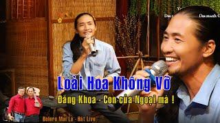 Loài Hoa Không Vỡ | Đăng Khoa chỉ là giao lưu thôi Bolero Mái Lá hát live