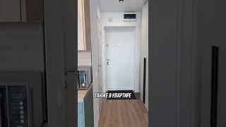 Квартира в аренду -студия 23,6м. Адрес: Москва ул.Михайлова д.30А к.2