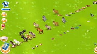 Hay Day Gameplay Level 184