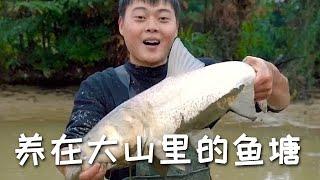 【戶外捕魚vlog】花2000包下一口養在大山裏的魚塘，塘裏不僅魚多岸邊貨也不少！#三農