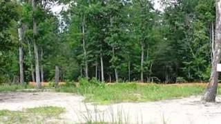 Homes for Sale - 4019 Brians Ln Suffolk VA 23434 - Tina Dubois