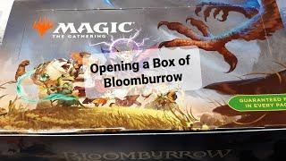 Opening a Box of Bloomburrow