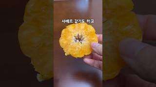 얼린 귤 이렇게 먹으니 맛있네