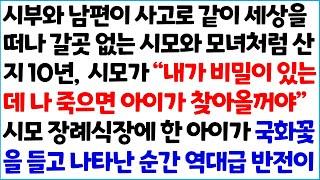 [반전사이다사연] 시부와 남편이 사고로 같이 세상을 떠나 갈곳없는 시모와 모녀처럼 산지 10년 , 시모가 " 내가 비밀이 있는데 나 죽으면~ /라디오드라마/사연라디오/신청사연