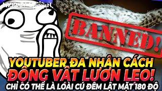 Kết DRAMA! Vạch Trần Youtuber Lươn Lẹo! Đa Nhân Cách! Vừa Chửi Vừa Chúc Mừng Chỉ Có Thể Là Loài Cú!