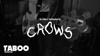 Crows - Slowly Separate | Taboo Sessions