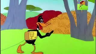 قازه‌ قۆز Duck & Tasmanian