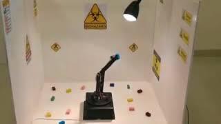 Robotic Arm