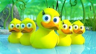 5 Little Ducks song | Newborn Baby Songs & Nursery Rhymes