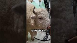 그러다 물린다