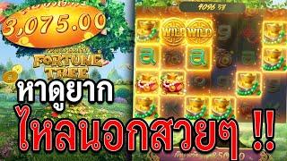 Prosperity Fortune Tree | สล็อตต้นไม้ | สล็อตPG | หาดูยาก !!