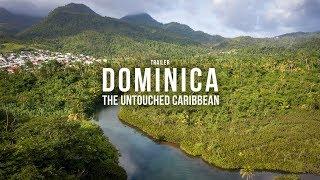 DOMINICA: The amazing nature of this Caribbean Island Cinematic